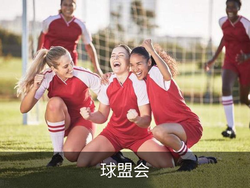 球盟会介绍